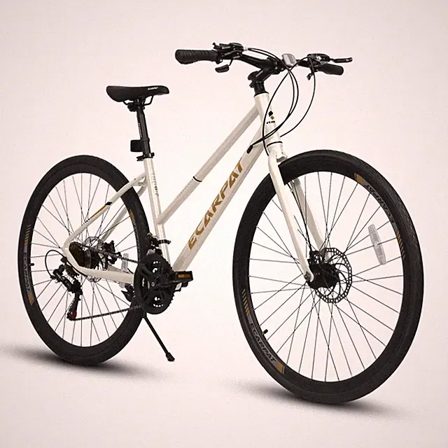 Road Bike with Aluminum Alloy Wheels & Disc Brakes & Wide Tires for Commuting